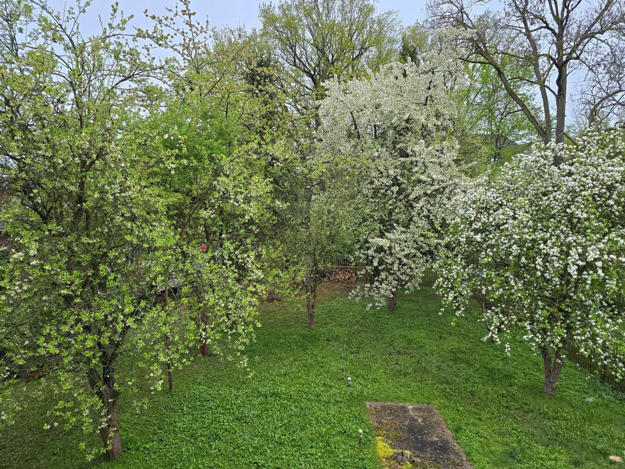 Villa Kuechwald Хемніц Екстер'єр фото