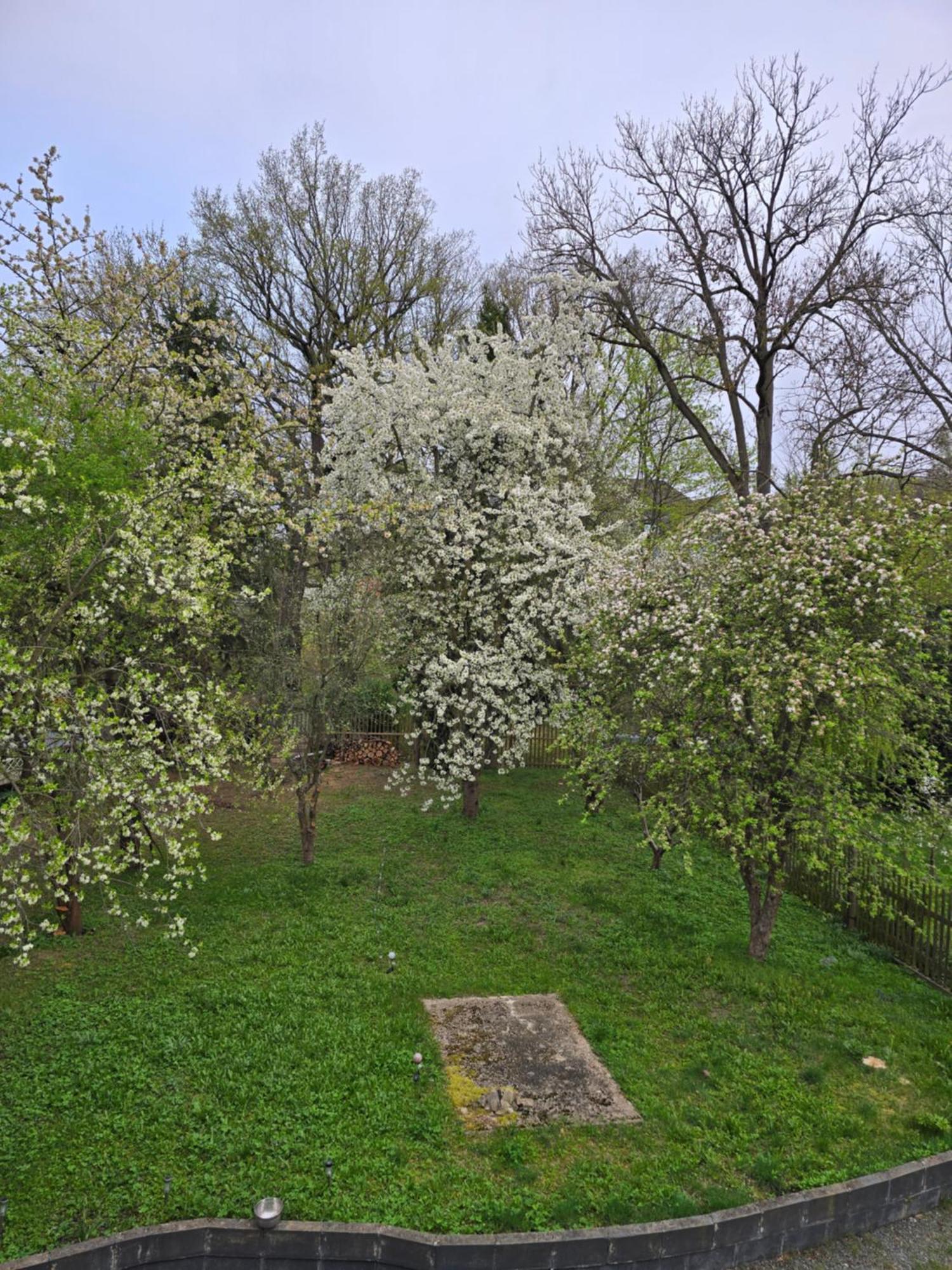 Villa Kuechwald Хемніц Екстер'єр фото