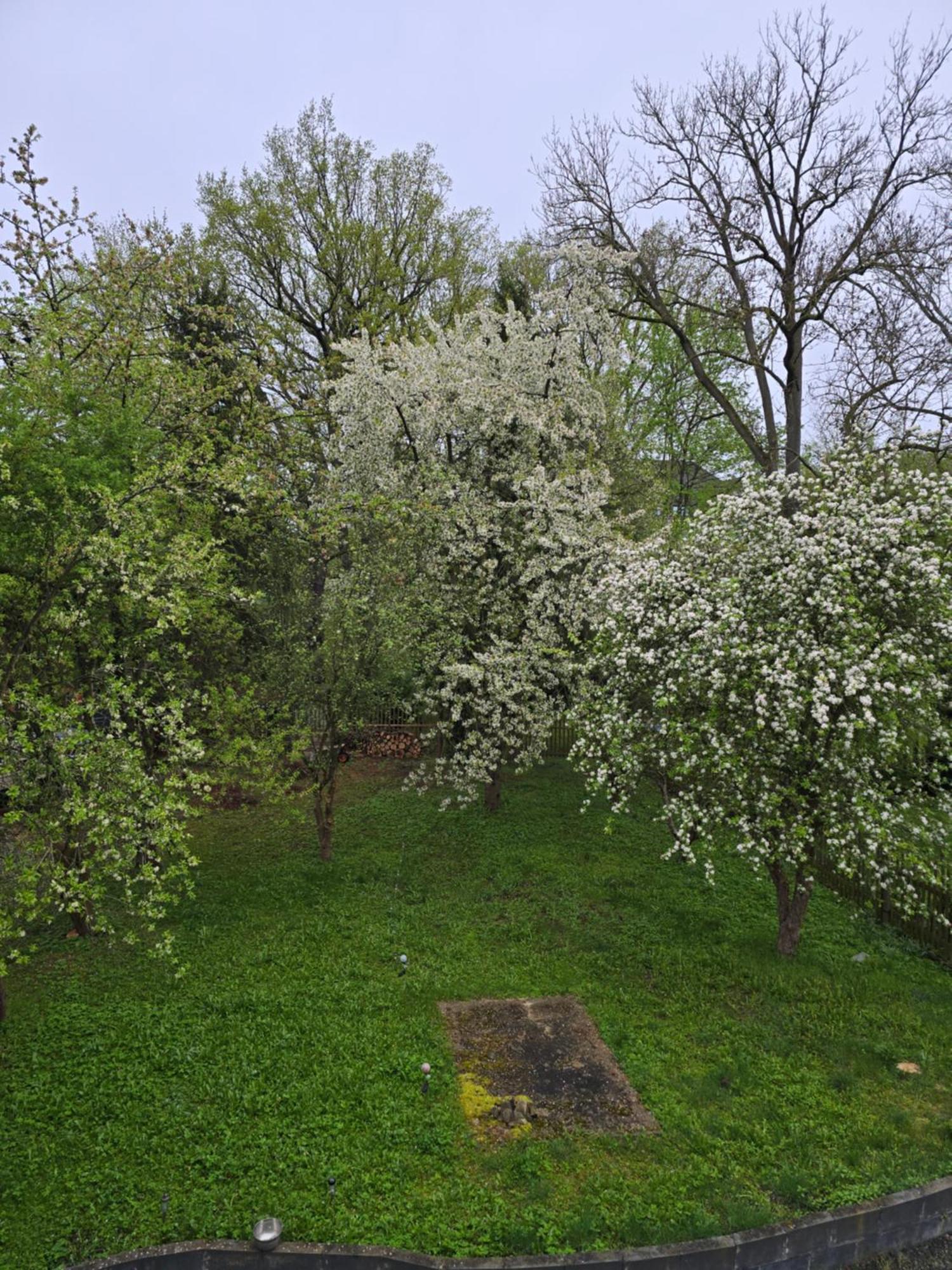 Villa Kuechwald Хемніц Екстер'єр фото